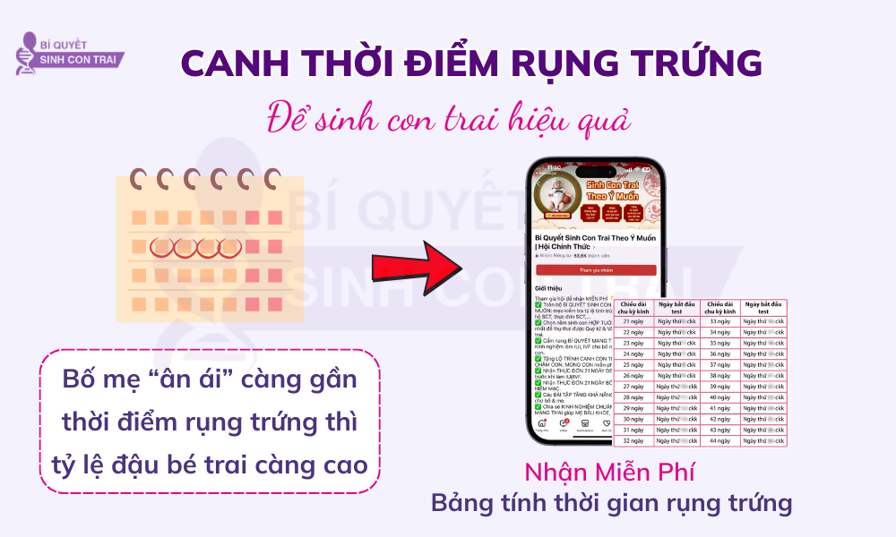 Canh thời điểm rụng trứng để sinh con trai