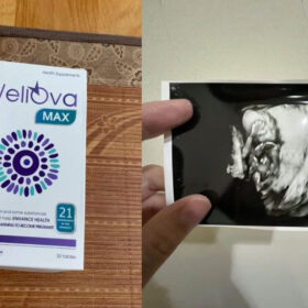 anh-fb-wellova-max-1724641287.2125